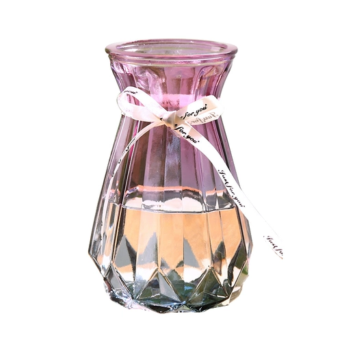 Европейская простая стеклянная ваза Прозрачная цветовая квадратная гидропонная бамбуковая бамбука Гуаньян