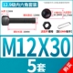M12*30 (5 подходов)