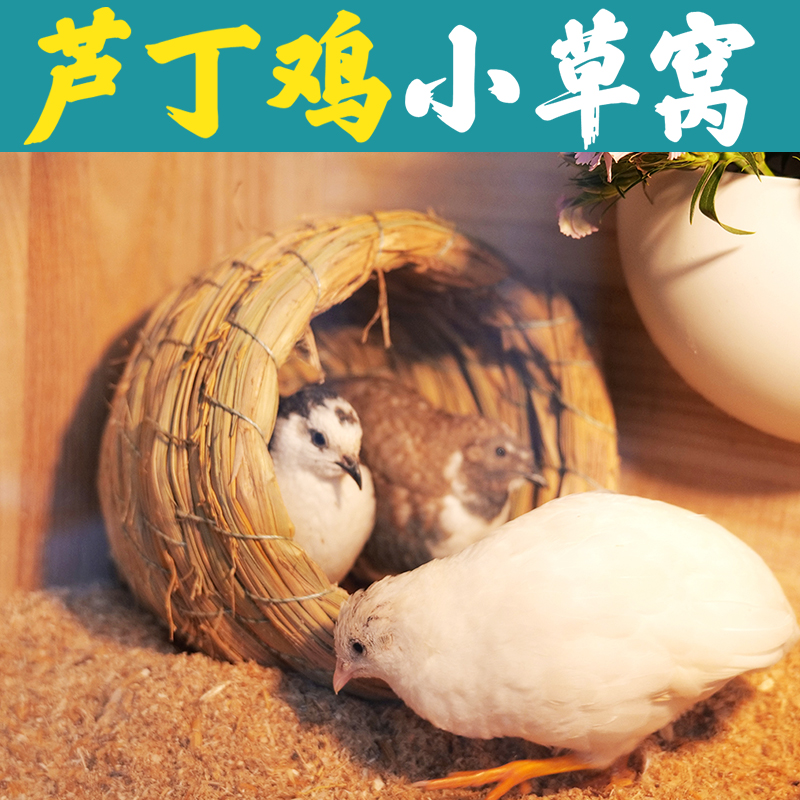 Grass Nest Luding Chicken Quail Pigeon Down Egg Build Outdoor Straw Chicography Round Home Warm Indoor Pet Chicken Nest