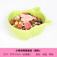 Маленькие уши есть бассейн зеленый