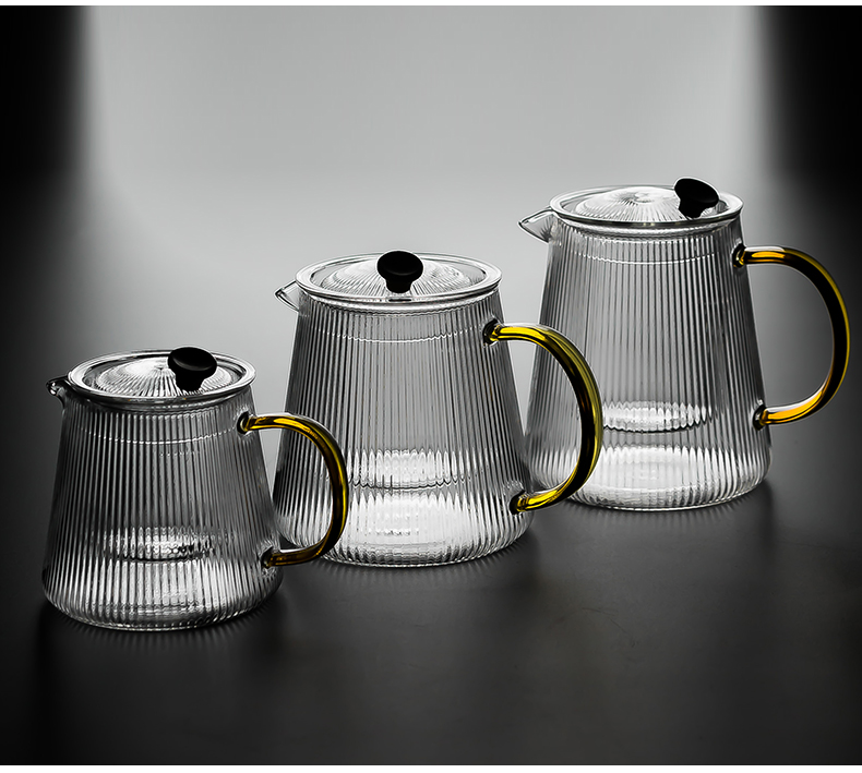 Send Yang filter glass teapot teapot high - temperature cooking pot electricity TaoLu household large flower pot office