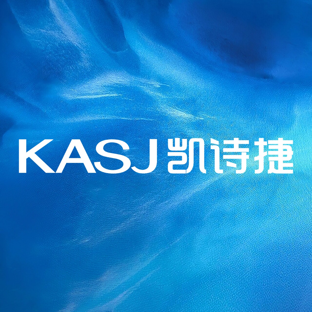 kasj旗舰店的LOGO