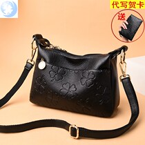 Small bag double space crossbody womens bag 2021 new large capacity medium-sized mother mother-in-law grandmother Old Man single