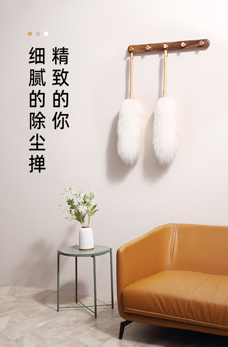 博生 静电除尘 鸡毛掸子 图1