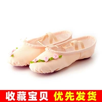 Маленькая мясо -розовая роза