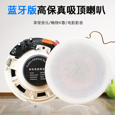 Wired Bluetooth Suction Horner Wireless Ceiling Active Suspension Ceiling Ceiling Restricted High Fidelity Bass