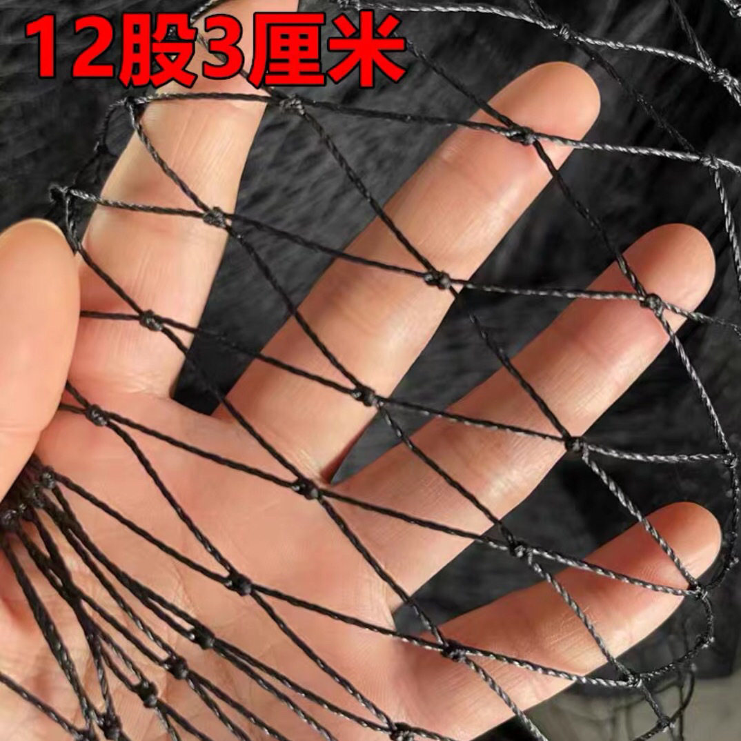 Custom Black Mesh Poultry Breeding Nets Outdoor Raised Chicken Nets Plastic Blocking Chicken Mesh Vegetable Garden Guard Tennis Pigeon Guard Against Bird-Taobao