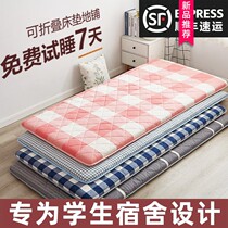 Primary school mattress dormitory special moisture-proof 80 × 200 living in school daily necessities 190 dormitory quality 90