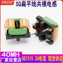 Kaibida Common Mode Inductor 40MH SQ1515 Flat Copper Wire EMI Horizontal Plug-in Common Mode Filter Inductor Coil