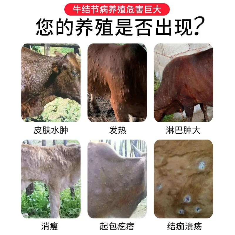 牛羊结节干扰素兽用高免血清:牛痘疙瘩克星,孕畜安全无忧!-水族药品药剂-淘宝好物网