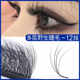 3D multi-layer wild grafted eyelashes soft