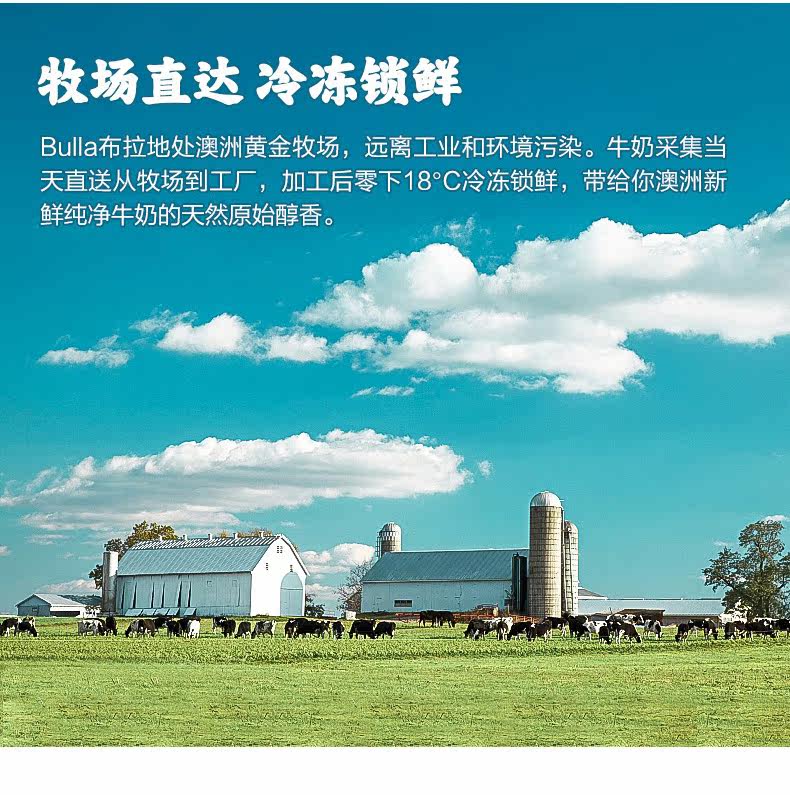 百年品牌 Bulla 澳洲莫里街 无添加蛋奶冰淇淋 1L*2桶装 图8