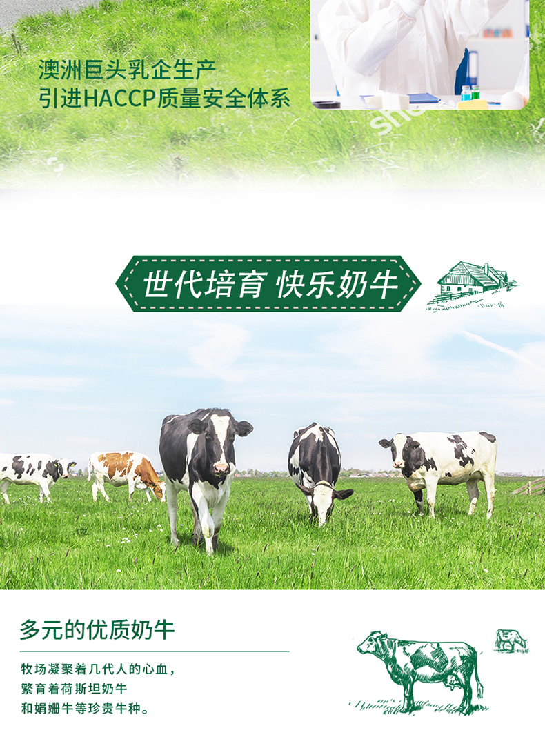 蒙牛 澳洲进口 全脂纯牛奶 1L*12盒 高钙高蛋白 图6