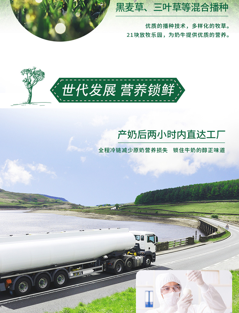 蒙牛 澳洲进口 全脂纯牛奶 1L*12盒 高钙高蛋白 图5