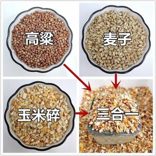 Mixed sorghum, wheat and corn chips to feed chickens