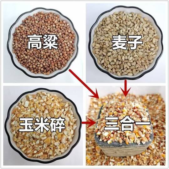 Mixed sorghum, wheat and corn chips to feed chickens