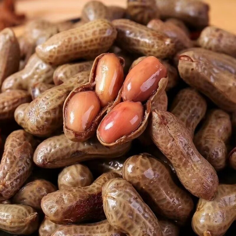 卤汁水煮花生袋装500克五香麻辣味开袋即食带壳湿花生零食小吃