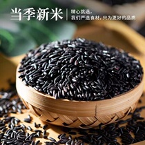 Black rice 2023 New rice 5 catty farmhouse Self-planted rice black fragrant rice Eight-treasure porridge millet coarse grain 5 cereals Cereals Edible