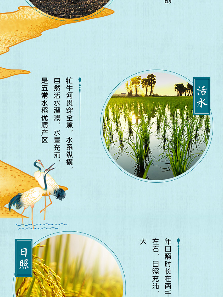 安享好物 安享D级粳米-金龙鱼金玉稻香五常大米 国标