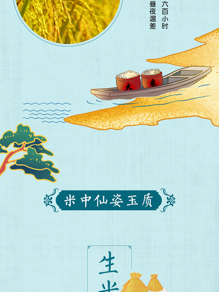 安享好物 安享D级粳米-金龙鱼金玉稻香五常大米 国标