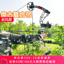Leiwanon 2024 new Pangu compound bow LWANO pulley bow competitive competition shooting bow set compound bow