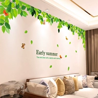 Свежий зеленый лист