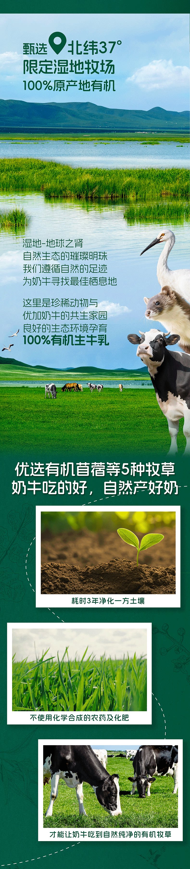 安享好物 安享A级纯奶-光明优加 3.6 有机纯牛奶 国标 