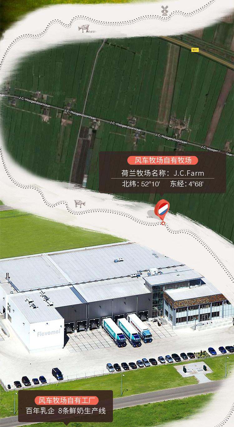 小神价 荷兰进口 风车牧场 3倍原生高钙羊奶粉 400g 图2