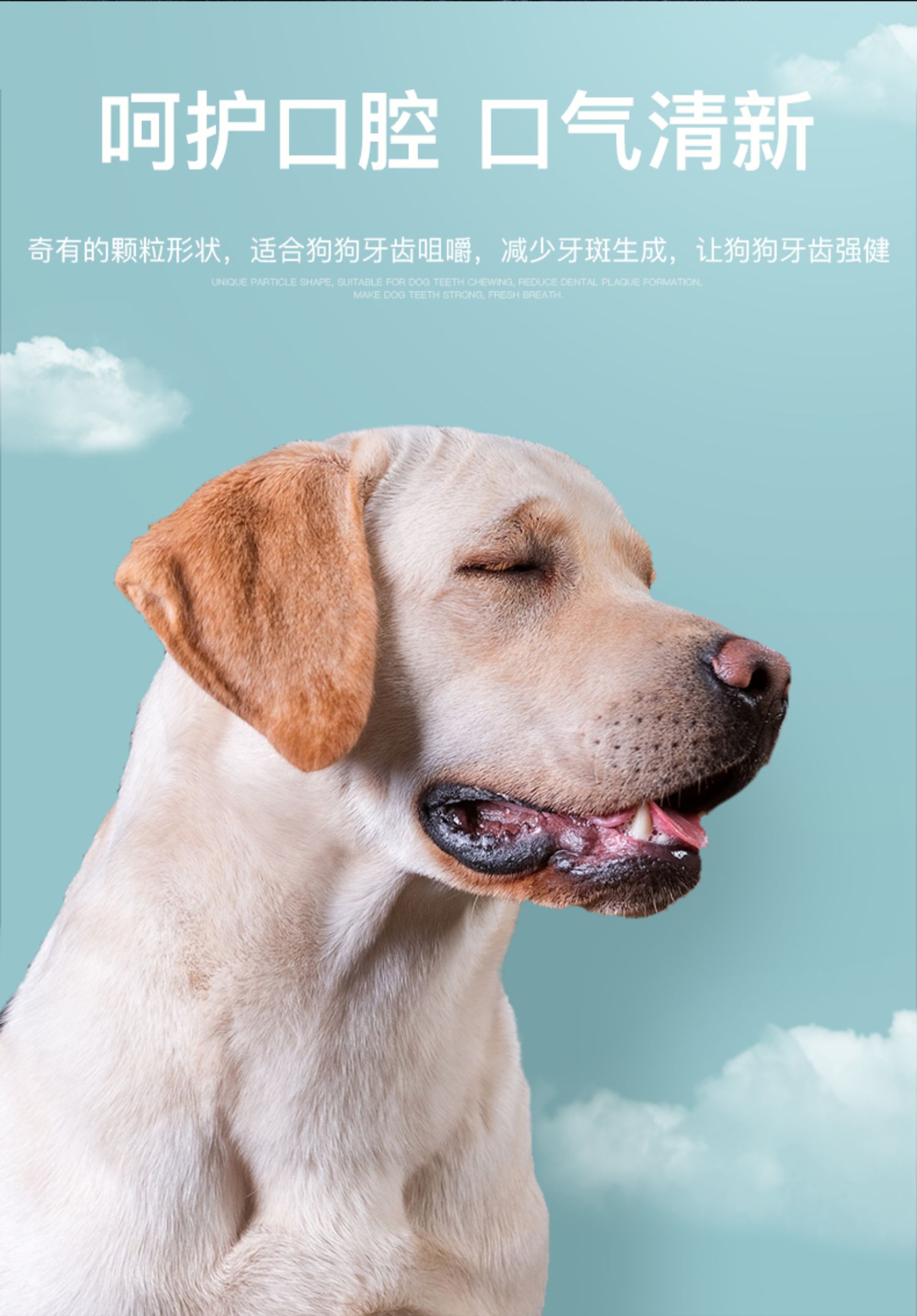 Thức ăn cho chó Yourui 3 kg chó nhỏ trưởng thành Teddy Schnauzer hơn gấu Bomei Keji tám anh em thức ăn đầy đủ giá 1,5kg - Chó Staples hạt cho chó con