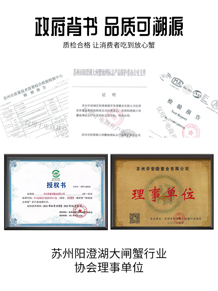 阳澄湖协会理事单位 鲜活大闸蟹 8只 公蟹3.5-4两 母蟹2.5-3两 图1