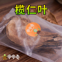 Turtle Olive Kernel Leafy turtle Lazy Man Leaf Water Group Small Tropical Fish Dragon Fish Grass Turtle Shrimp Vat to Sour Water Group Ph value