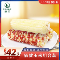Chu bird white color corn fresh fresh fresh pick fragrant glutinous corn Zhangjiakou northeast corn cob 10*220g