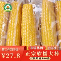 Vacuum 9 corn fresh soft waxy corn cooked sweet instant corn stick northeast yellow sticky corn weight loss meal