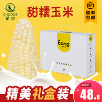 Shunfeng gift box Northeast Sweet glutinous corn fresh gift welfare sweet sticky corn corn cob 8 packs