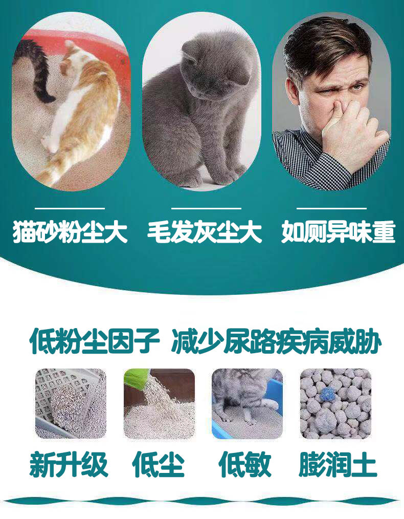 猫砂大颗粒猫砂包邮膨润土猫砂