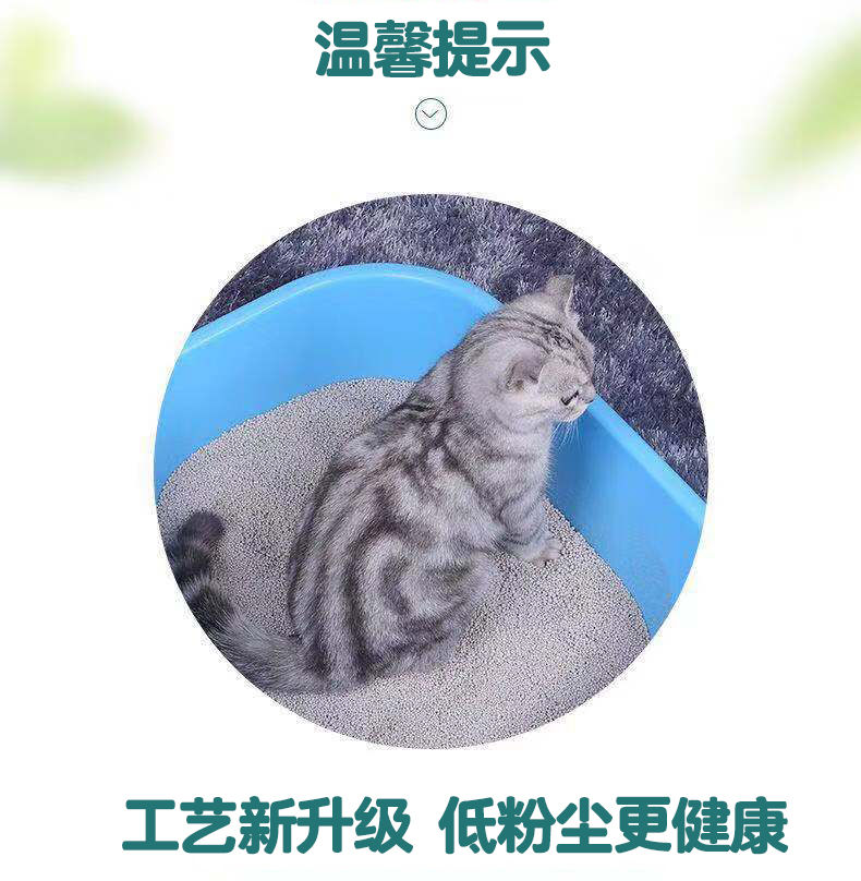 猫砂大颗粒猫砂包邮膨润土猫砂