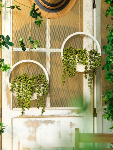 Симуляция суккулентная стена растительной стены с творческой личностью любитель подвески любовника слез в интерьерах