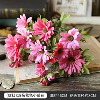 1 букет розовых ромашек