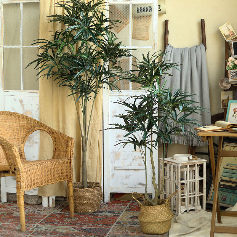 Nordic Wind Emulation Green Planting Peacock Wood Fake Green Planting Potted Tree Living Room Large Plant Floor Bionic Bonsai Pendulum-Taobao
