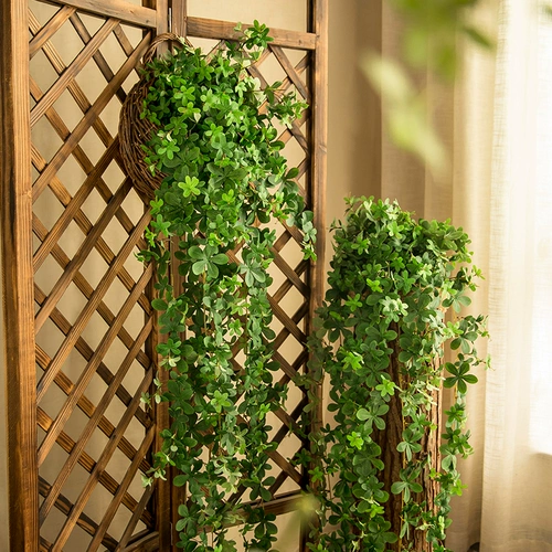 Симуляция изготовления изготовления листья стена висят фальшивая виноградная винограда стена