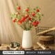 3 Red Apple Franches+White Los Vases
