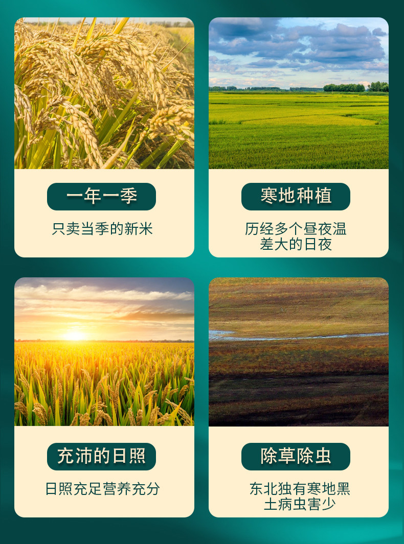 中国地理标志产品 铁岭大米 寒地长粒米 真空装10斤 图4