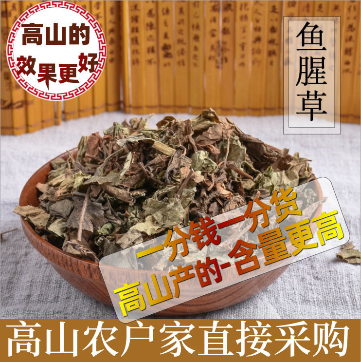 (Buy 2 sending 1) Alpine wild houthone fish dried fishy grass fresh folded earthen root fish heart grass tea tea houtover tea