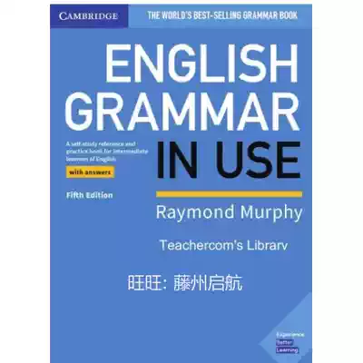 English Grammar in Use Book E-book Light