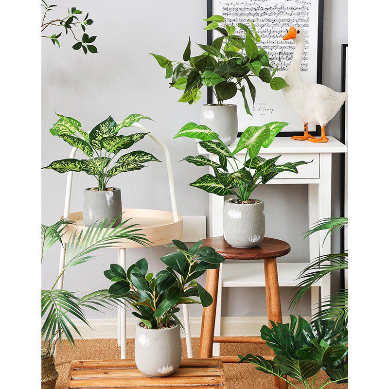 Simulation Green Plant Small Potted Office Desktop Furnishing Tortoise Back Fake Plant Decoration Fake Flower Living-room Pendulum-Taobao