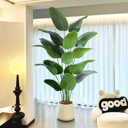Fake Green Plant Decoration Simulated Indoor Potted Large Floor-Standing Ornaments Living Room Accessible Luxury Anti-Real Green Plant Traveler Banana