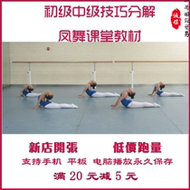 Phoenix Dance Classroom Childrens Dance Basic Skills Tutorial Video Teaching Training Decomposition Self-study Basic Training Textbook
