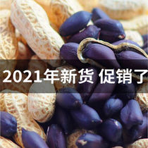 2021 Fresh Black Peanuts With Shell Rich Selenium Black Peanut Small Grain Black Leather Peanuts Rice New Stock Seed Seed Yunnan Specie