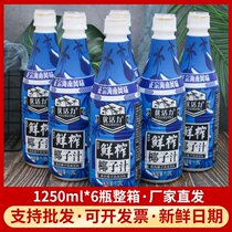Hainan coconut juice coconut beef pulp coconut milk 1 25L * 6 large bottle whole box fresh squeezed vegetable protein fruit drink