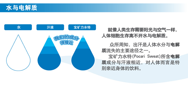 夏日必备 宝矿力 水特 电解质饮料 500ml*24瓶 迅速解渴补水 图2